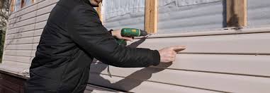 Best Siding Painting and Refinishing  in Hoback, WY